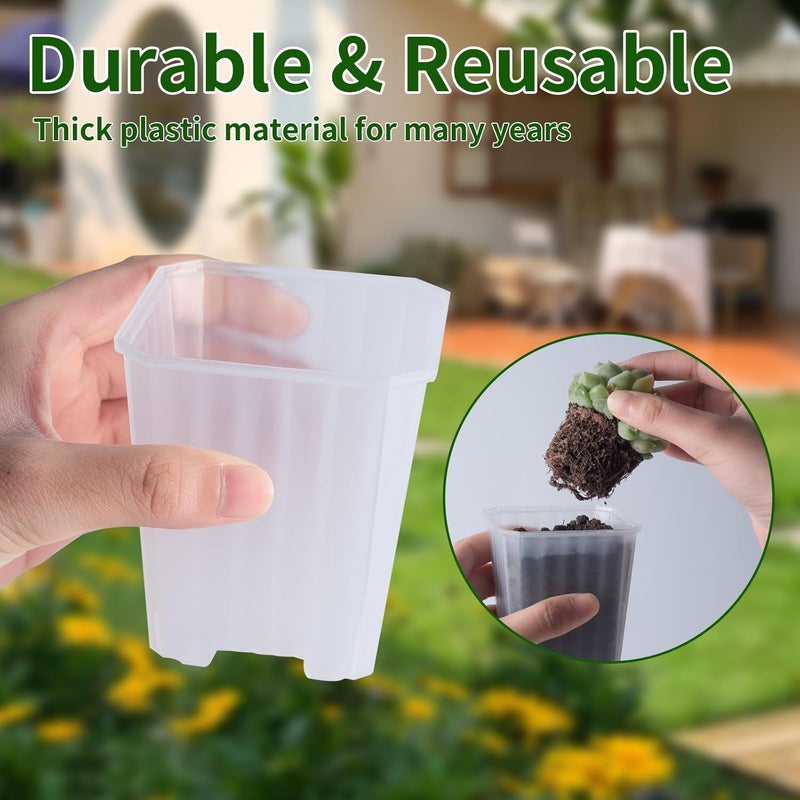Foxany 3 Inch Clear Nursery Pots, 30 Pcs Thick Plastic Plant Pot, Square Flower Planting Pots Variety Pack, Seedling Planter Starter Pots with Saucers for Garden - Image 4